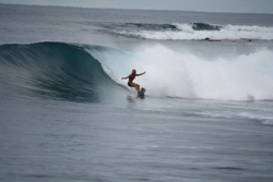 Le joyau des Mentawai