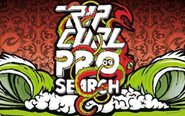 Super tubes au programme du Rip Curl Pro Search 2009 !