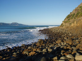 Les charmes de la presqu'île de Mahia