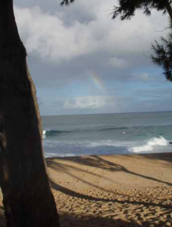 Sessions magiques à  Rocky Point, Pupukea et Haleiwa