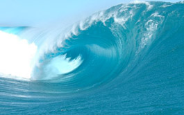 Un nouveau circuit mondial de surf en 2010 ?