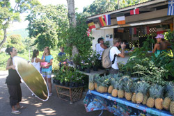 Shooting sur Moorea
