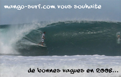 Bonne année 2008 !