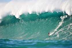 Des vagues XXL aux quatre coins du globe !