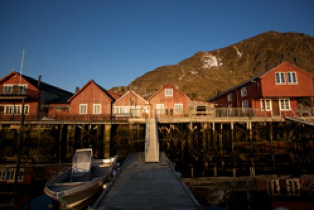 Découverte des Iles Lofoten