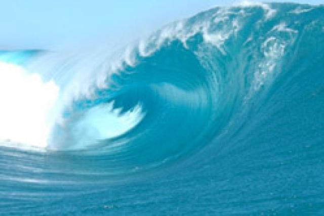 Un nouveau circuit mondial de surf en 2010 ?