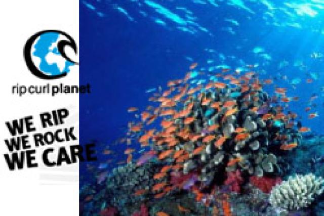 Rip Curl s'engage aux côtés du WWF dans la préservation des coraux