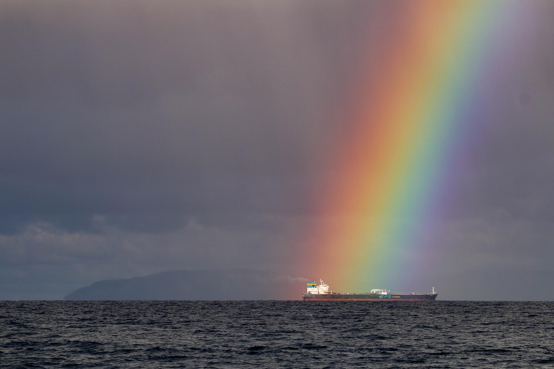 Vans Jack's Surfboards Pro 2026