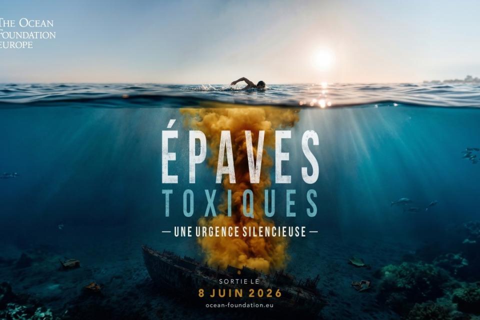 Épaves toxiques : l'alerte d'un bodyboarder engagé pour les océans