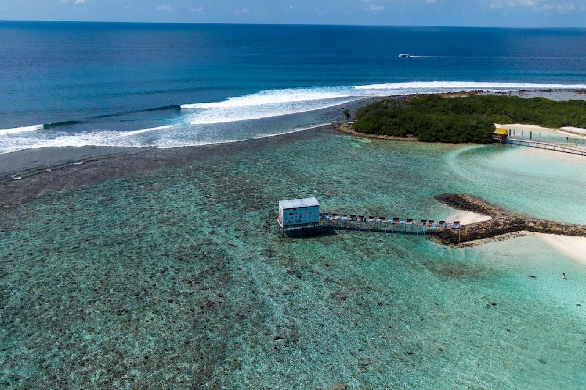 Cokes - Maldives Pro 2026 - Journée 4
