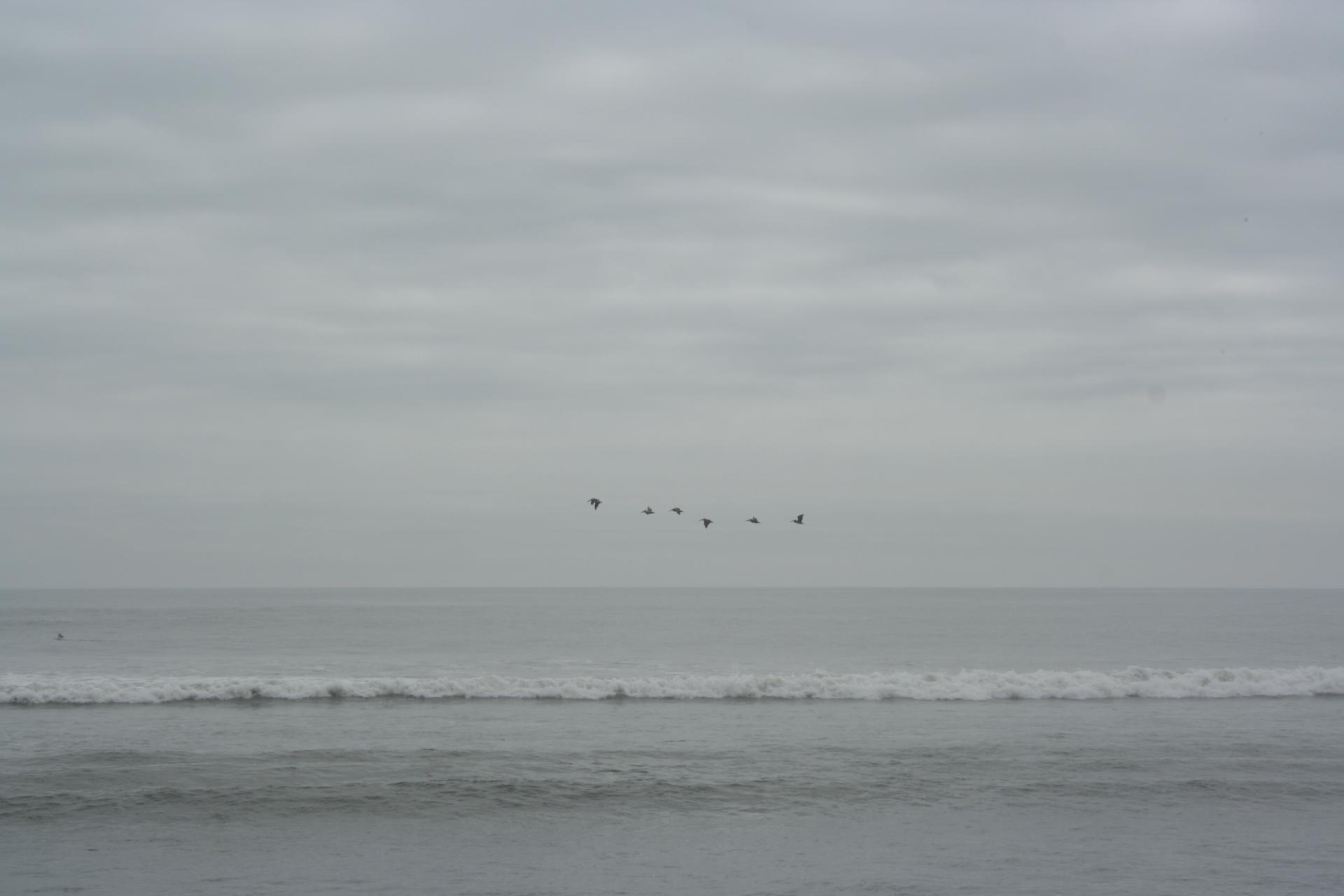 Balai des cormorans - Huanchaco - Pérou