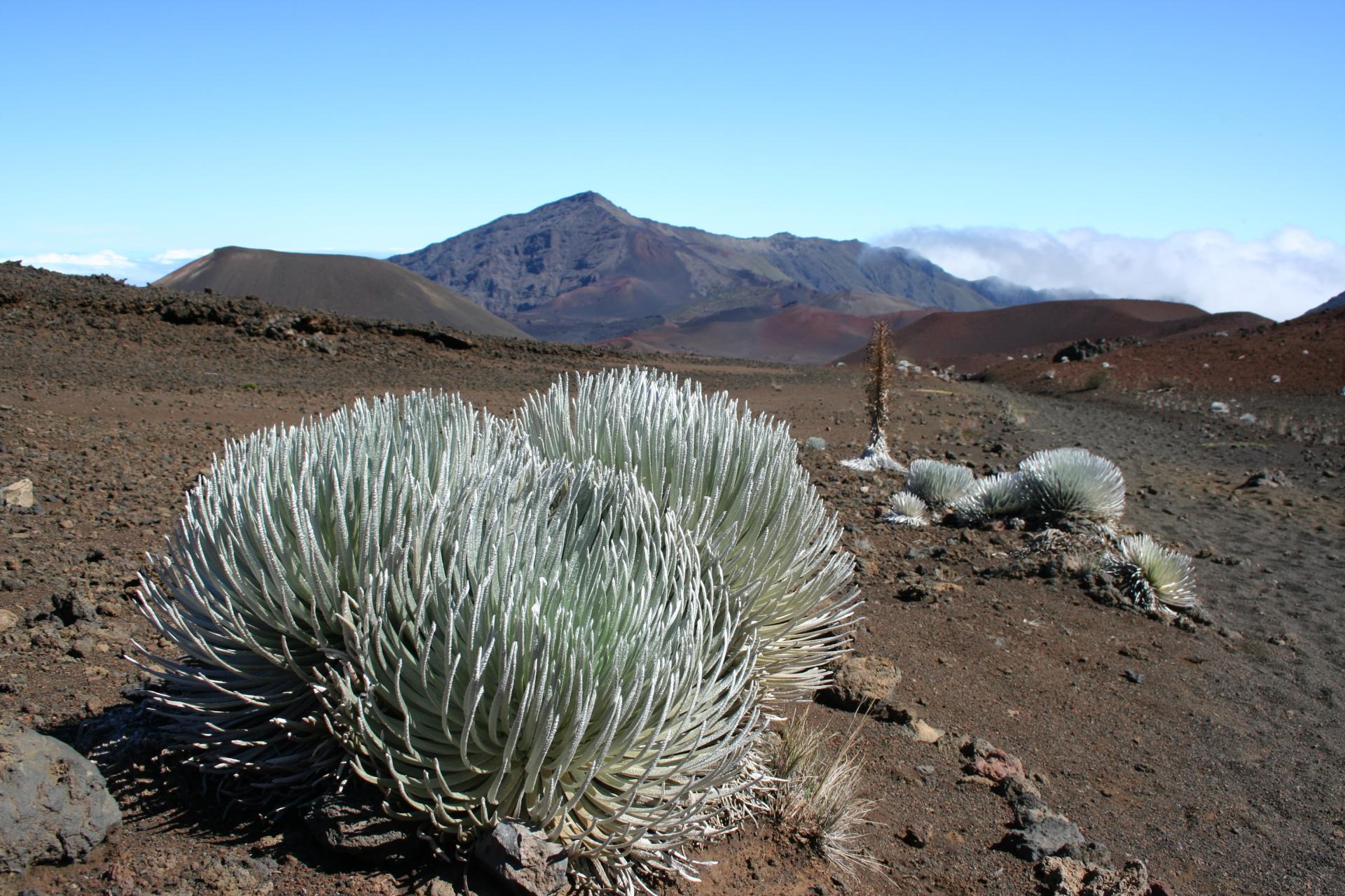 Hale'a Kala - Maui - Hawaii
