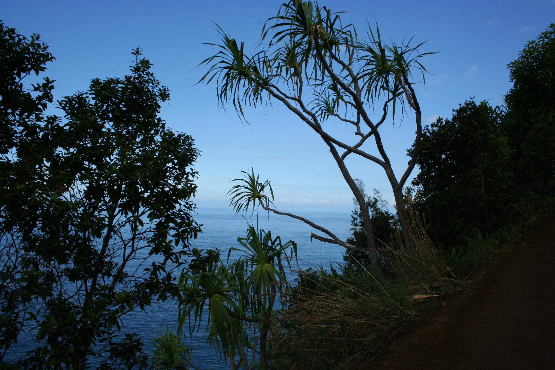 Kaua'i, l'île jardin