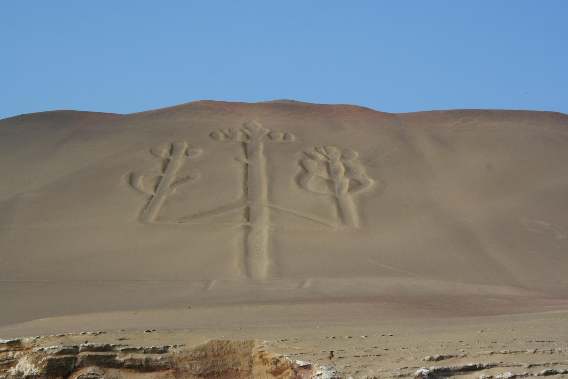 A la découverte de la réserve de Paracas et des lignes de Nazca