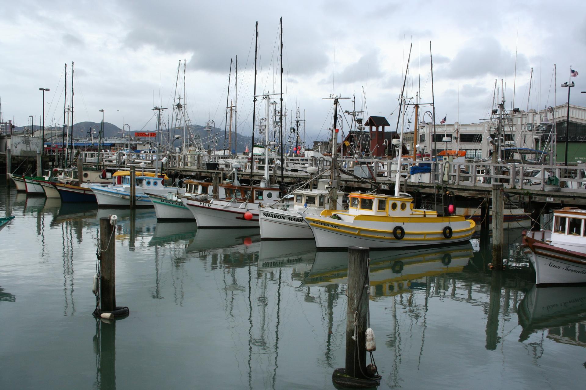 Le port - San Francisco