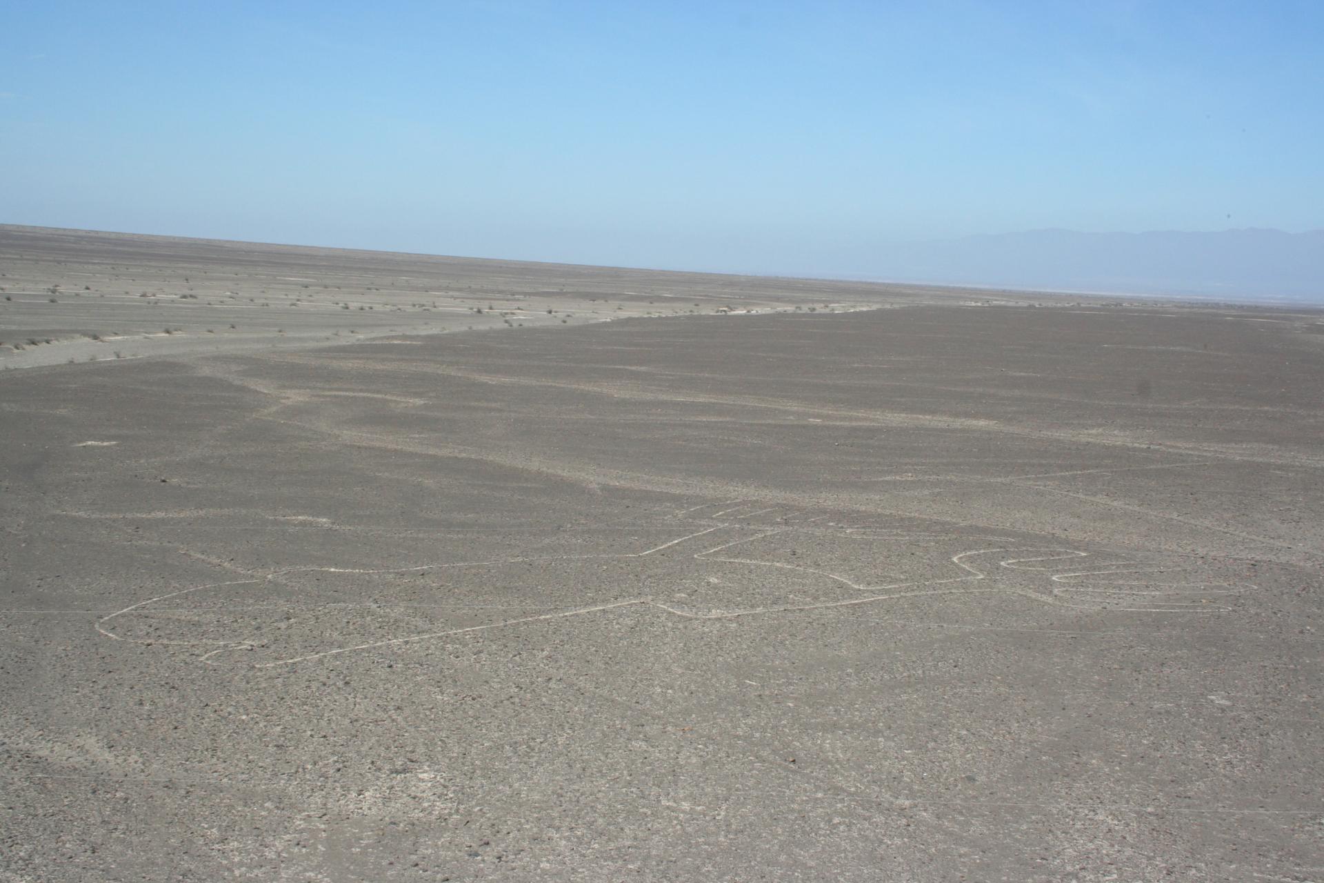 Les lignes de Nazca - Pérou