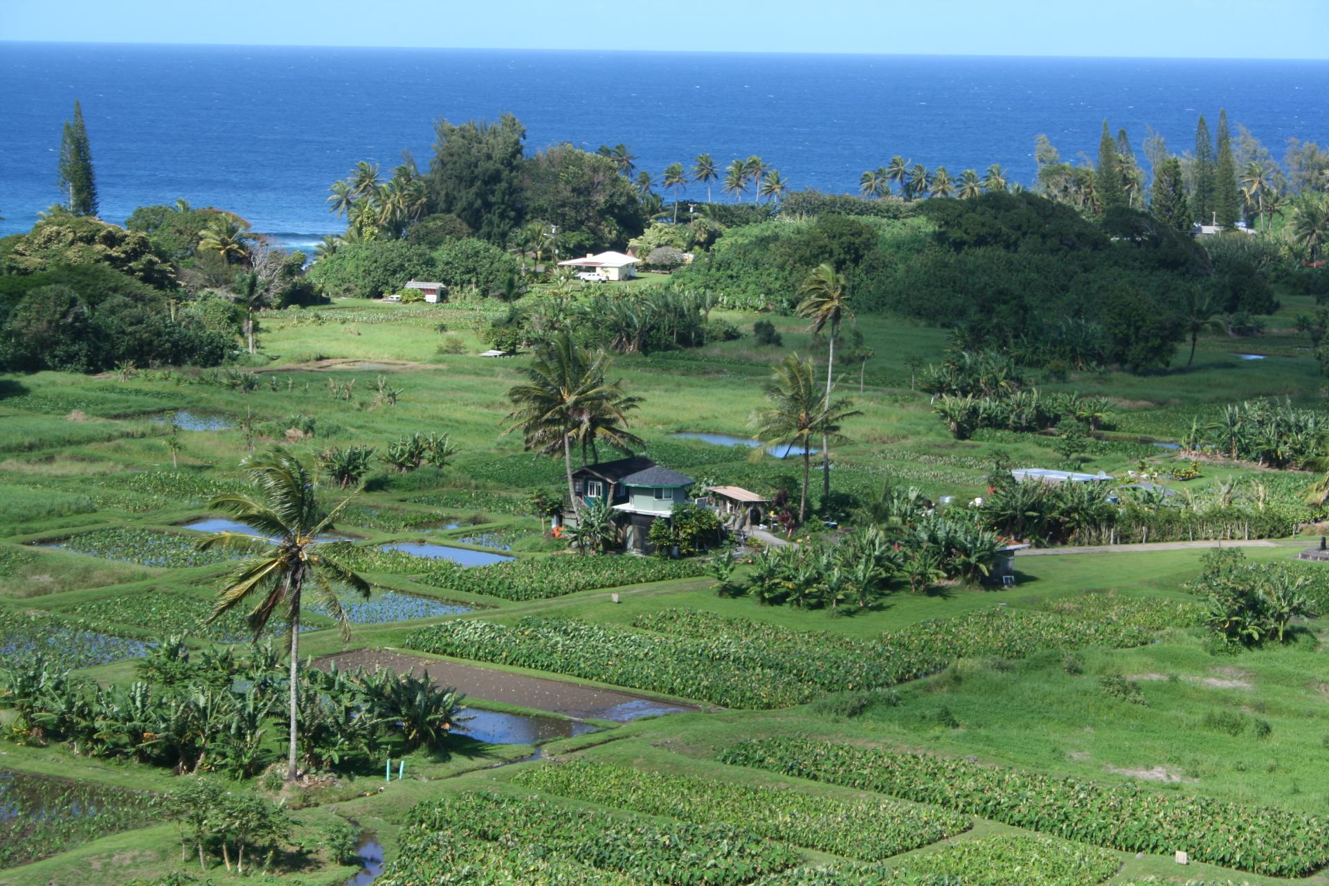 Maui - Hawaii