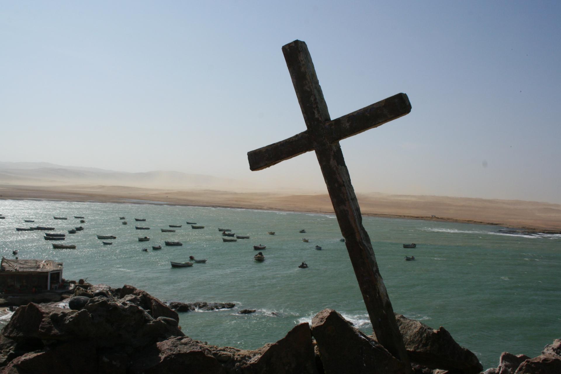 Réserve protégée de Paracas - Pérou