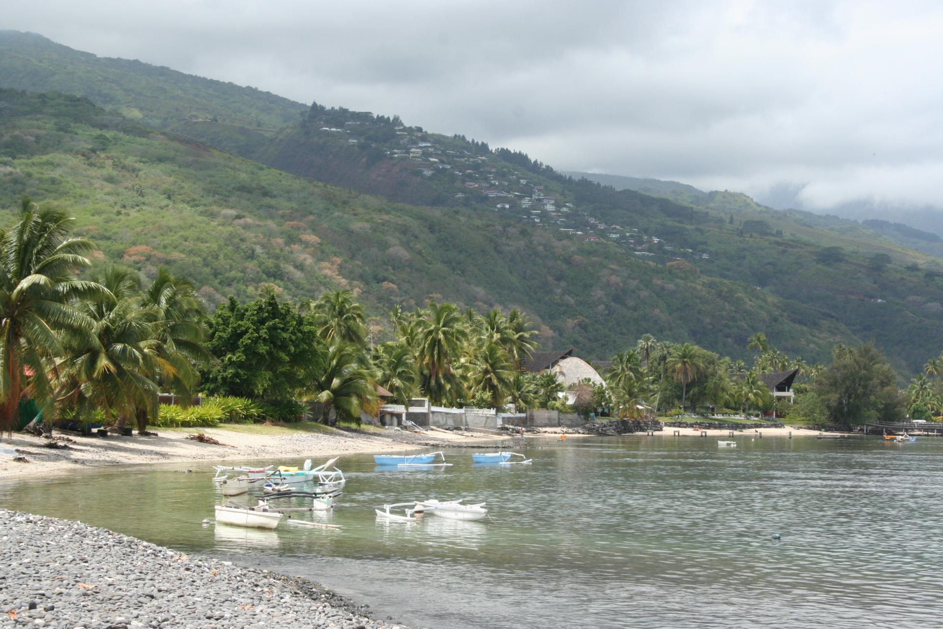 Sapinus - Tahiti - Polynésie Française