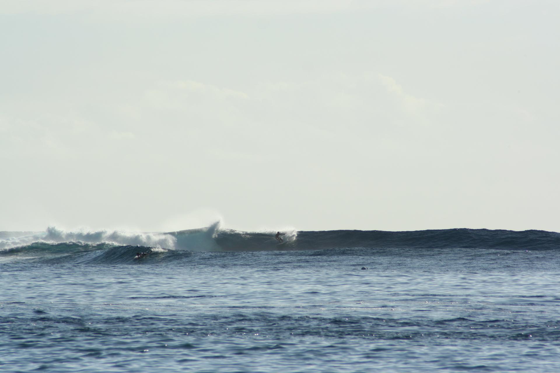 Surfeur - Sapinus - Tahiti - Polynésie Française