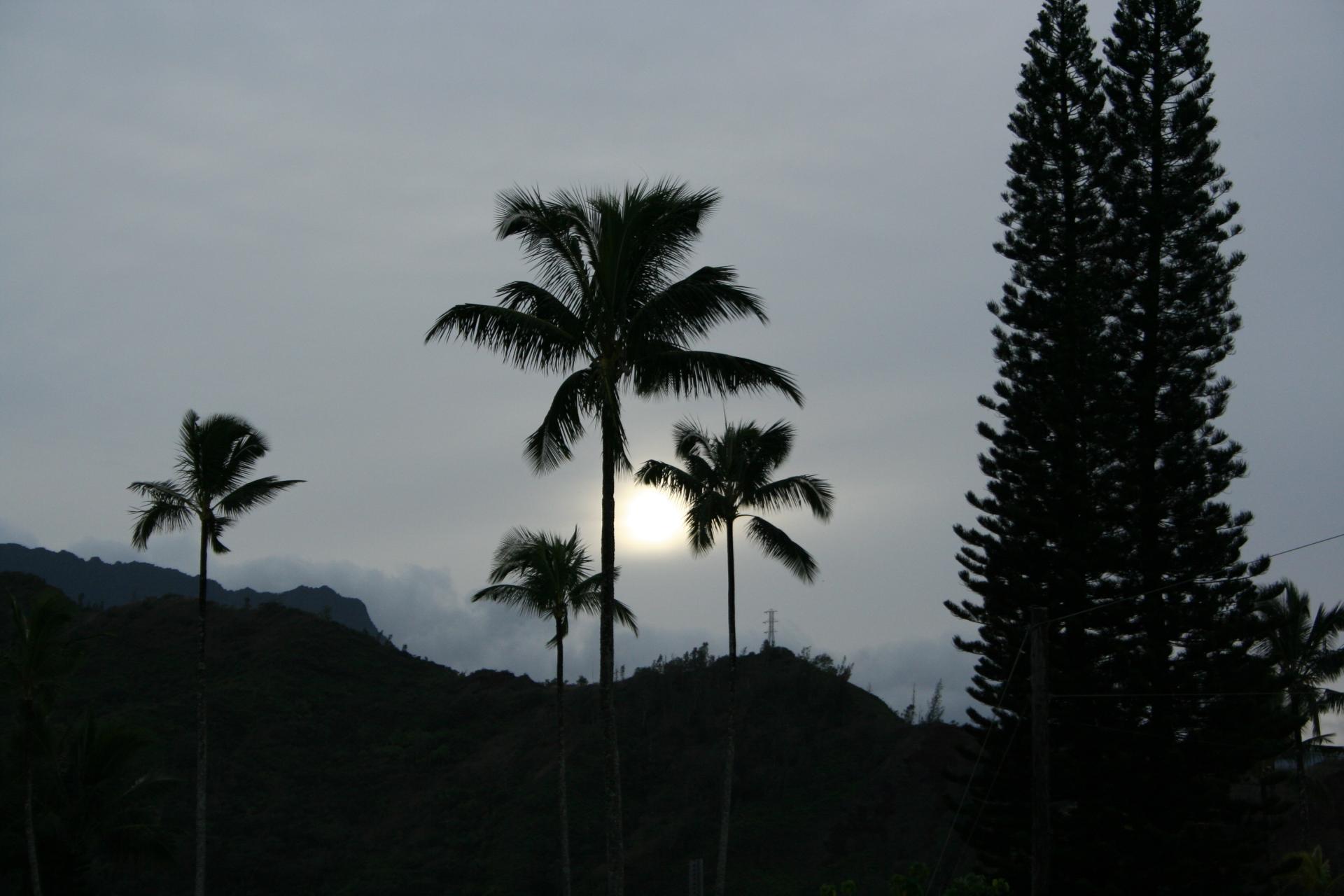 Waimea - Kauai - Hawaii