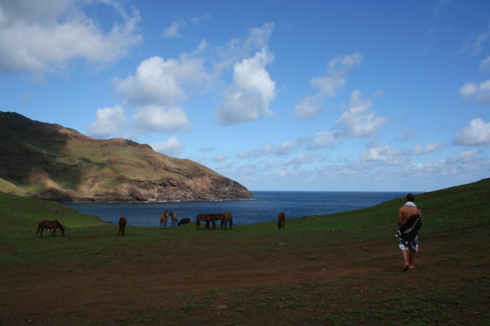 Ua Huka, l'île aux chevaux