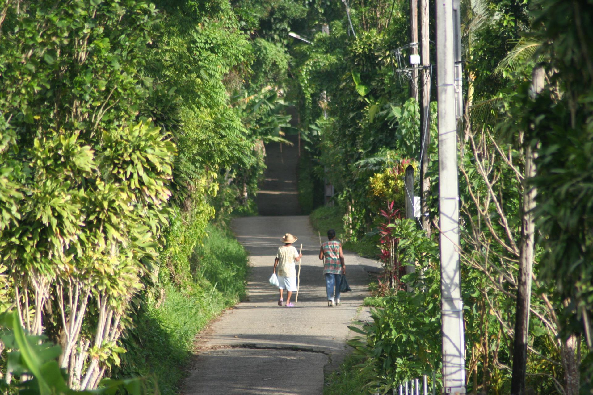 Balade sur les chemins - Guadeloupe