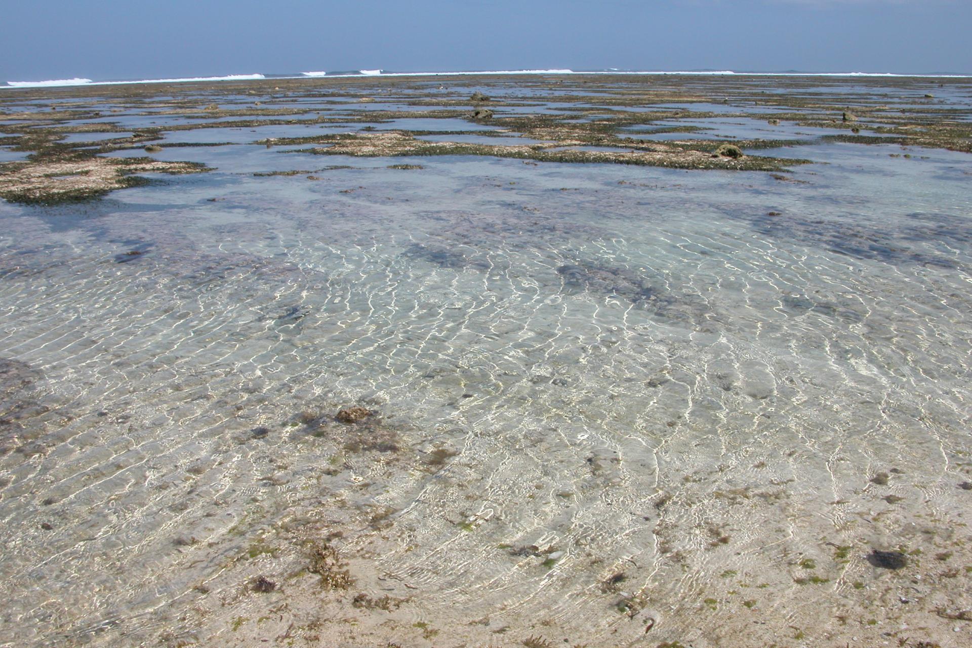 Le reef - G-land - Java - Indonésie