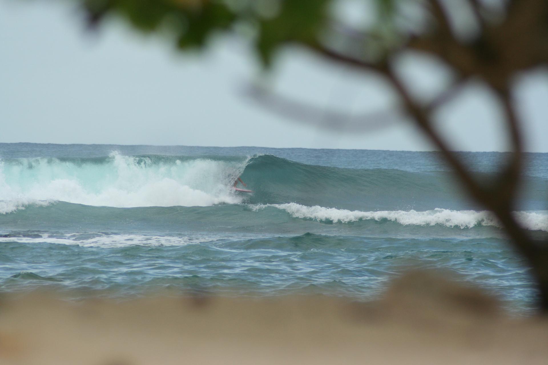 Surfeur dans le tube - Anse B - Guadeloupe