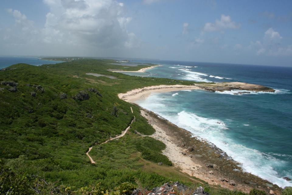 Bienvenue sous des latitudes tropicales