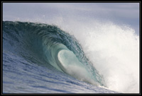 Wijaya surf charter