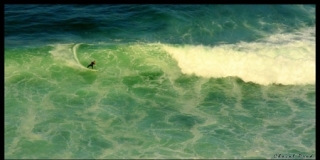Portugal - Local Surfer