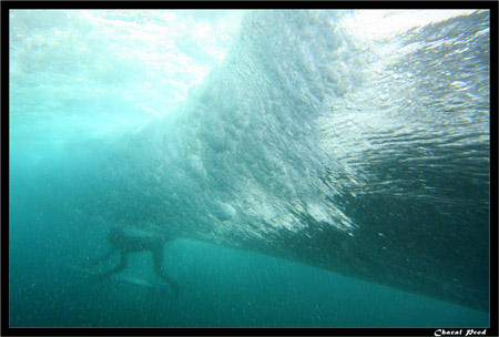Indonésie - Matthieu LARCHE - Under the wave