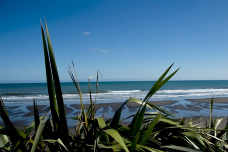New Zealand Surf Festival 2012'