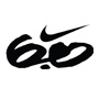 Nike 6.0