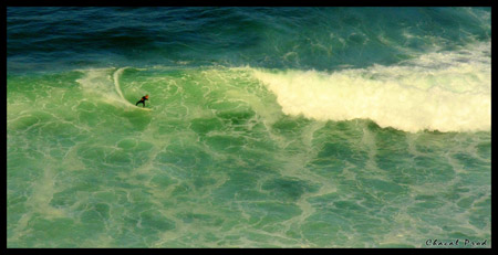 Portugal - Local Surfer
